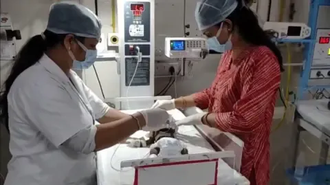Infant Placed Alive in the Country Fights for Her Life