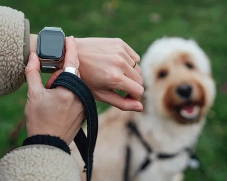 The Honest Scoop Regarding Wearable Tech? Life Feels Fuller Devoid of a Bossy Zealot on Your Arm